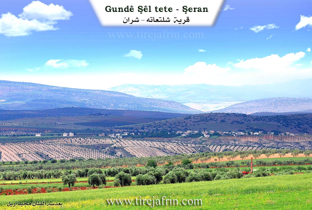 Photo of Şîlte'tê